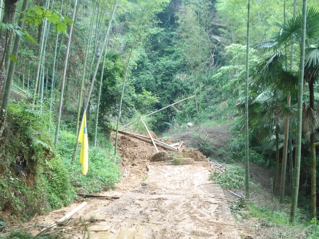 马不停蹄1.jpg 马不停蹄1.jpg