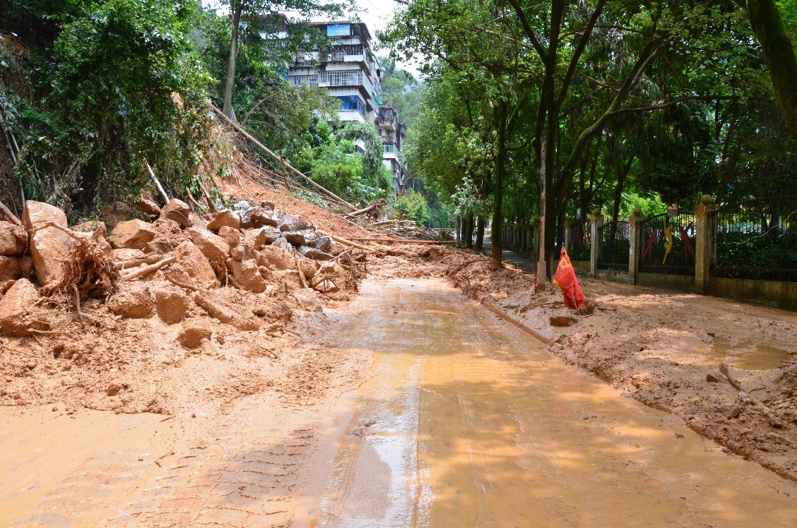 组织开展灾后清理工作3.jpg 组织开展灾后清理工作3.jpg