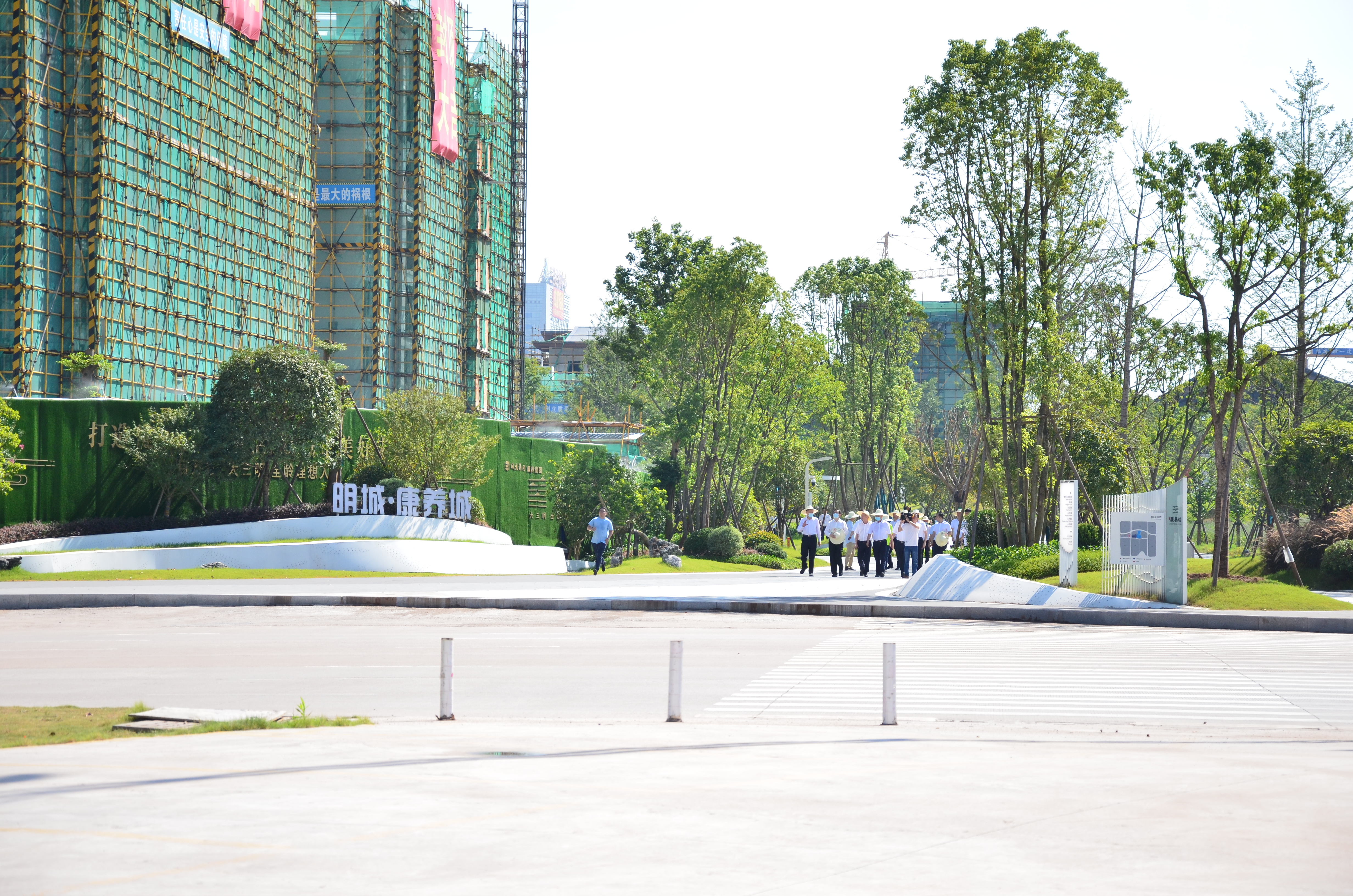 DSC_9696.jpg DSC_9696.jpg